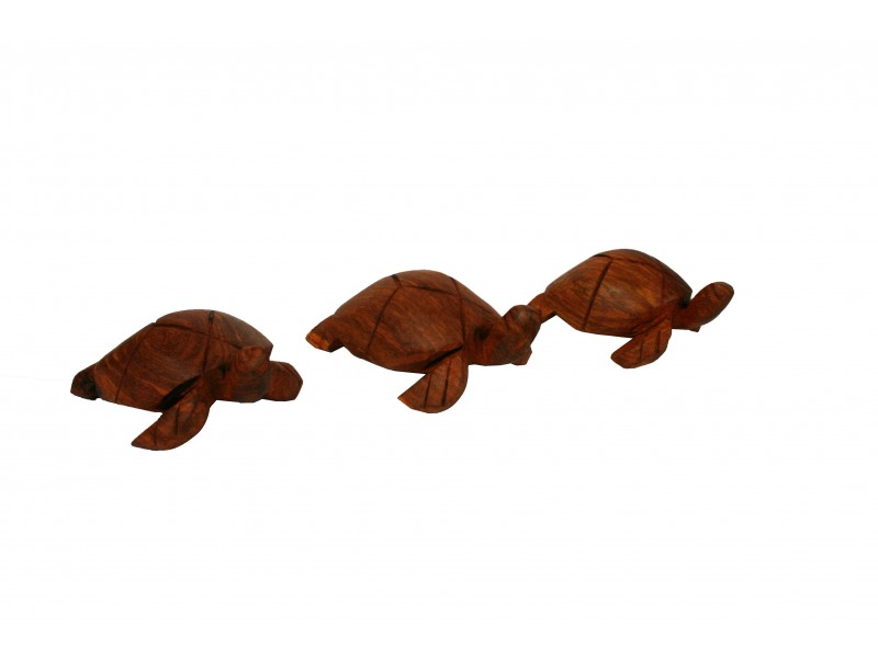 soška želvy