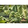 Pražená káva – Naty´s Coffee, 200g