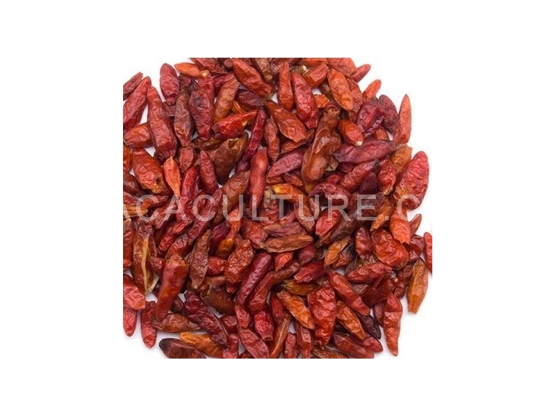 africká chilli ptačí paprička