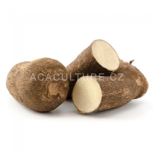 Yam