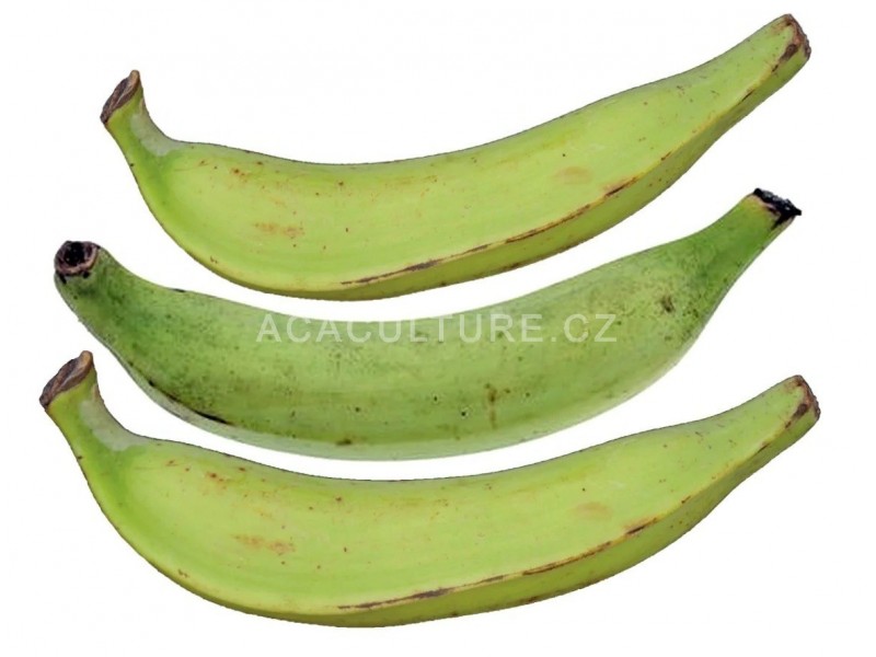 Banán plantain na vaření-aloko-africká kuchyně-exotické ovoce a zeleniny