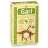Gari