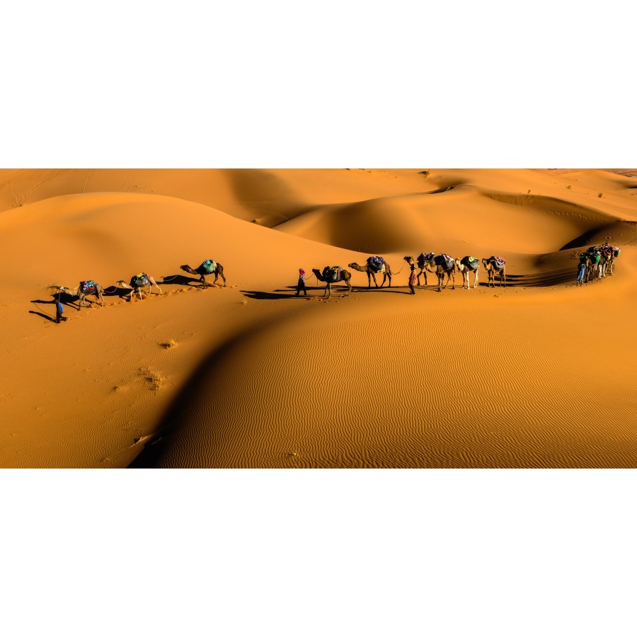 Tuaregové: hrdí vládci pouště
